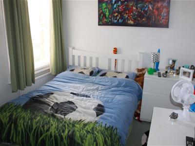 Picture 7